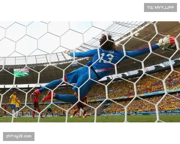 重温2014年巴西世界杯的经典瞬间与感动时刻